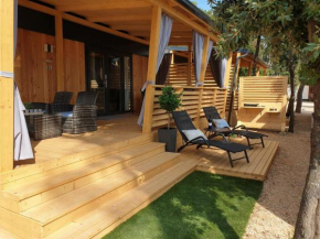Mobile Home Starfish IV Camp Biograd